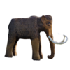 author_image