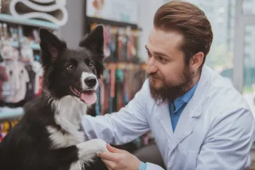 Veterinar ukazao na tri greške: 'Napravio sam ih kod svog psa i jako mi je žao'