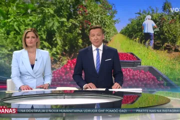 Rodile trešnje i jagode, ali berača ni za lijek: Jedna uzgajivačica doskočila problemu